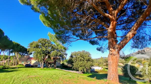 Maison à vendre  6 pièces - 150 m2 MONTEGROSSO - 202