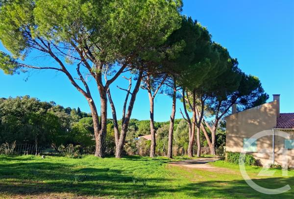 Maison à vendre  6 pièces - 150 m2 MONTEGROSSO - 202