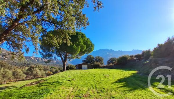 Maison à vendre  6 pièces - 150 m2 MONTEGROSSO - 202