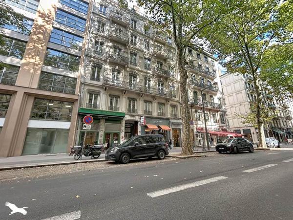 Appartement 480 000 € Lyon 06 4 p 74 m² DPE C