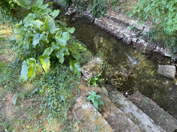 Terrain à bâtir dans un cadre privilégié verdoyant avec ruisseau