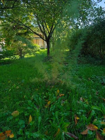 Maison à vendre 4 pièces SAINT MICHEL (16)