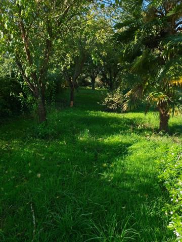 Maison à vendre 4 pièces SAINT MICHEL (16)