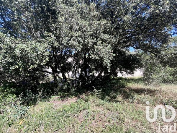 Terrain à vendre 990 m² Châteaurenard