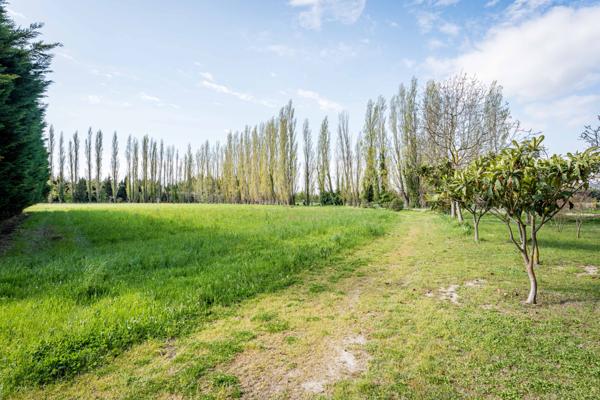 Sénas (13560) MAS 400 M2 - DEPENDANCES 200 M2 - PISCINE - ETANG - TERRAIN 6,4 HA