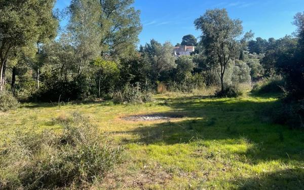 Terrain à vendre    Ollioules