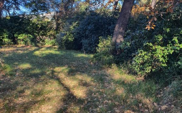 Terrain à vendre    Ollioules