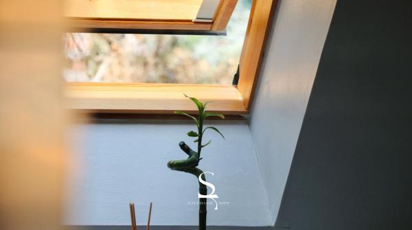 Maison familiale 4 pièces avec jardin intimiste - HAGUENAU (67)