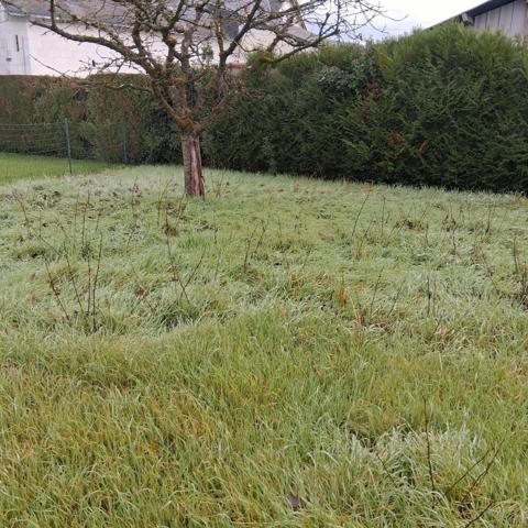 Maison à vendre à Beaufort-en-Anjou dans le Maine-et-Loire (49250), ref : 49039-1092