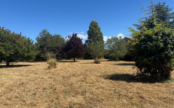 Terrain à vendre