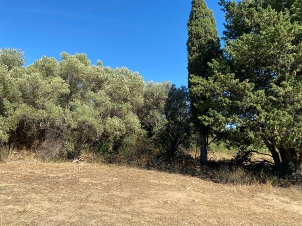 Terrain à vendre LA CIOTAT (13)