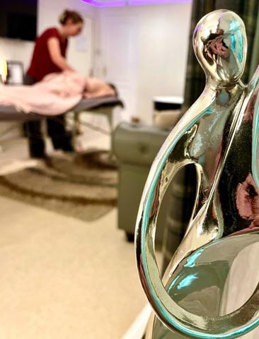 Puy de Dôme (63) -Maison d’Hôtes de Charme & Spa – Opportunité Rare en Auvergne