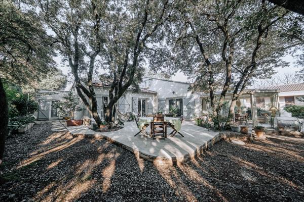 Saint-Gély-du-Fesc (34980) Saint-Gély-du-Fesc centre - Maison de charme avec piscine et jardin arboré