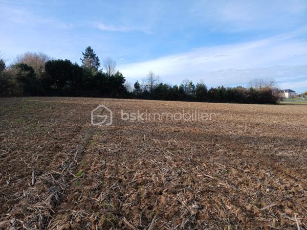 Terrain de 7 151 m²