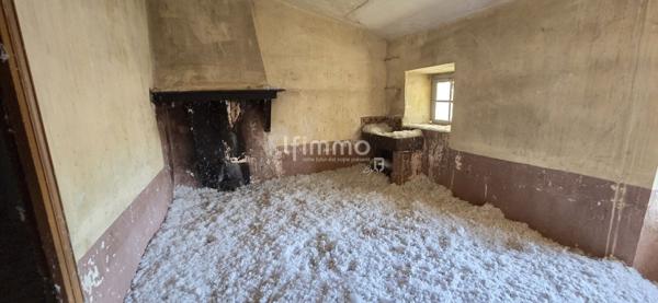 Ensemble immobilier à fort potentiel + dépendances + local commercial