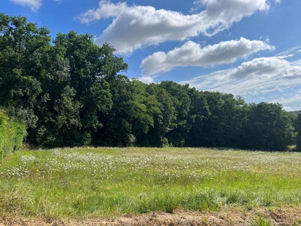 Terrain avec bornage et étude de sol