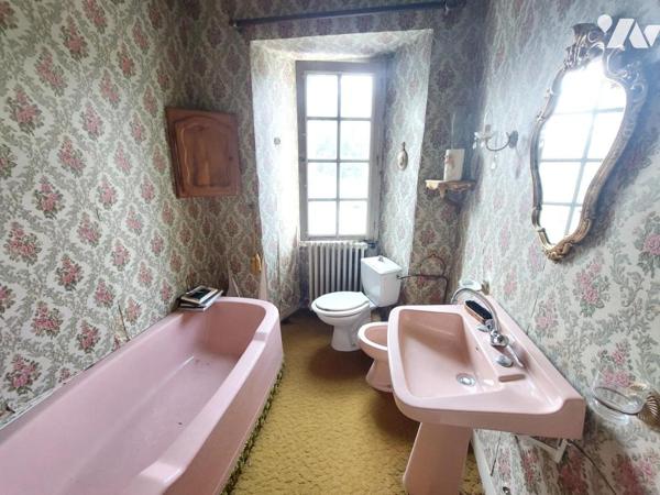 A VENDRE- MAISON - HANGAR -COSSE LE VIVIEN