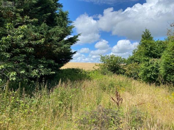 Maison à vendre à Villedieu-les-Poêles-Rouffigny dans la Manche (50800), ref : 50038-2631