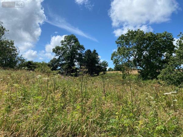 Maison à vendre à Villedieu-les-Poêles-Rouffigny dans la Manche (50800), ref : 50038-2631