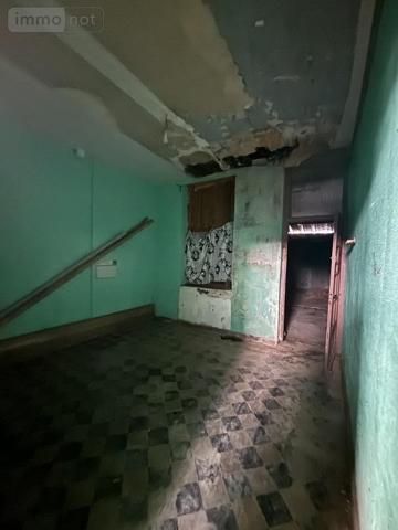 Maison à vendre à Croix dans le Nord (59170), ref : 59007-1898