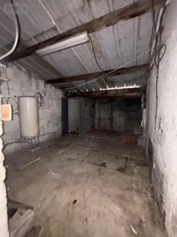 Maison à vendre à Croix dans le Nord (59170), ref : 59007-1898