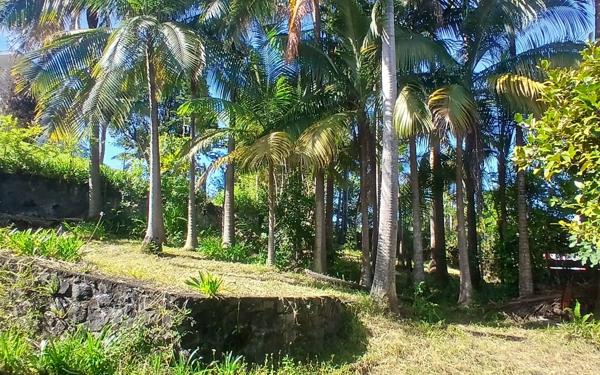 Maison à vendre    3 pièces • 170 m2 Petite-Île