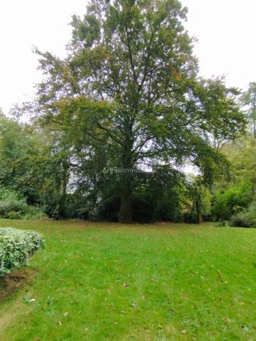 Vente Appartement 4 pièces 132 m2 à Roubaix