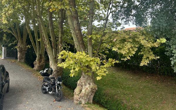 Maison à vendre    5 pièces • 140 m2 Ondres