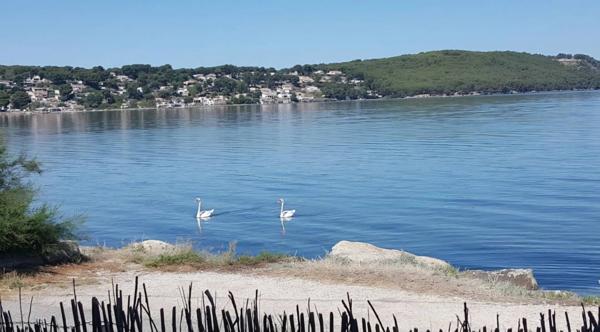 Maison à vendre 4 pièces SAINT MITRE LES REMPARTS (13) à deux pas des plages quartier VARAGE