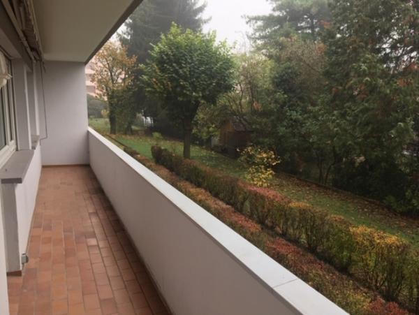 Location Appartement rénové 3 pièces Bischheim (67800) - REFAIT A NEUF