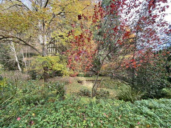 HOHWALD, superbe vue