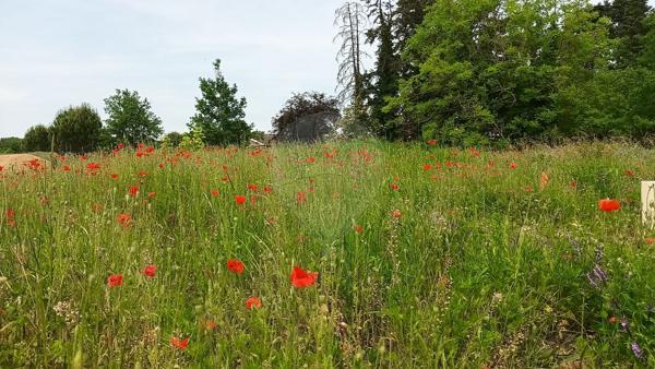 Terrain  en vente - Rhône - 69
