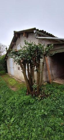 Maison à vendre à Vic-Fezensac dans le Gers (32190), ref : 32002-258