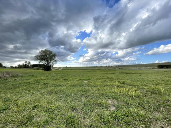 Terrain de 1 240 m²