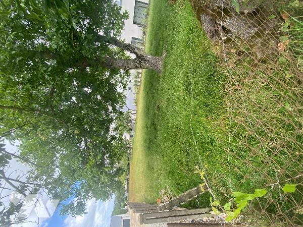 Un terrain à bâtir viabilisé de 1029 m²