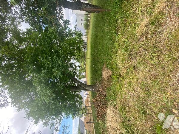 Un terrain à bâtir viabilisé de 1029 m²