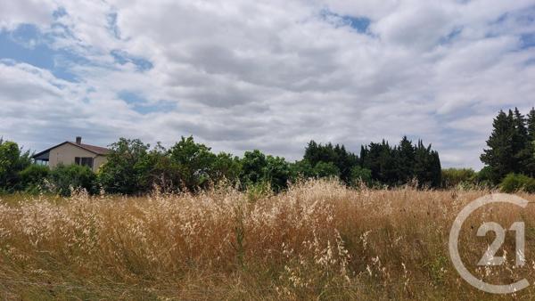 Terrain à vendre  894 m2 MALVIES - 11