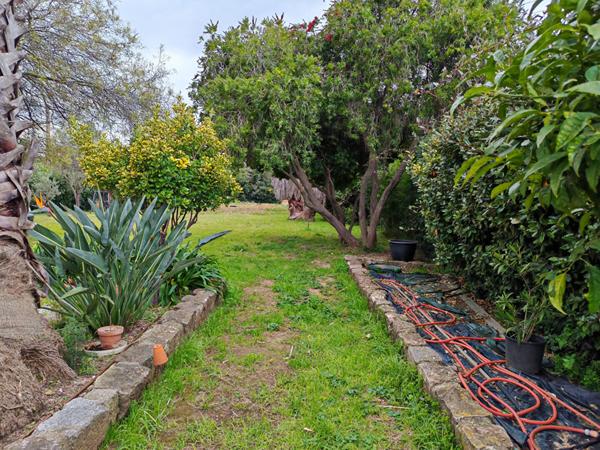 Villa Carqueiranne 5 pièce(s) 142 m2