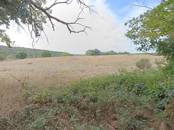 1ha 7458 d'un seul tenant