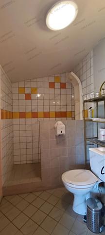 Maison à vendre 6 pièces à la campagne avec studio indépendant