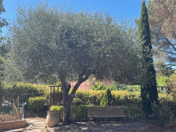 Maison 6 pièces SAINTE MAXIME (83)