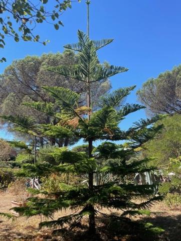 Maison 6 pièces SAINTE MAXIME (83)