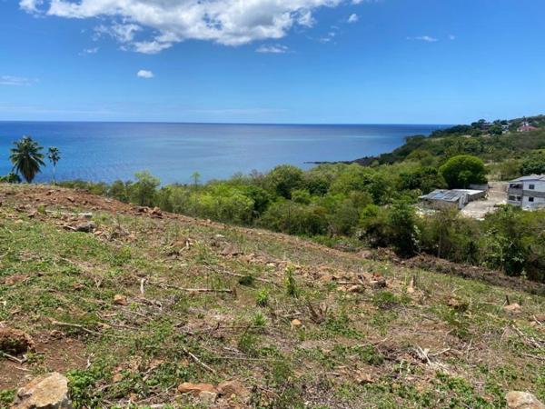 Terrain à vendre de 1 039,00 m² VIEUX HABITANTS (971)