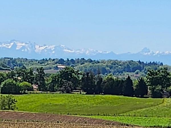 Landes 40250 MUGRON, propriété comprenant 2 maisons 184 m²  et 125 m²