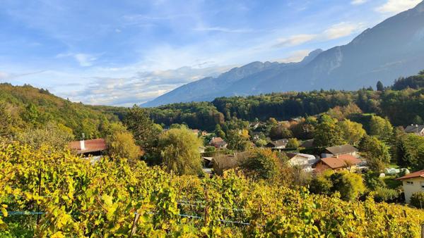 COTEAU DE BONNEVILLE TERRAIN 3442 m² CES 0.15