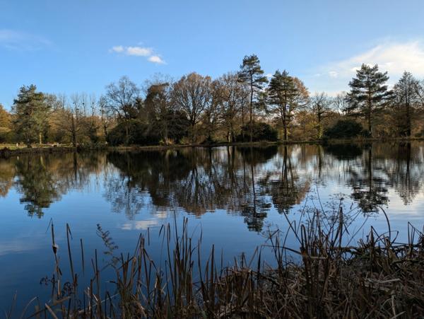 LANGOELAN MAISON NÉO BRETONNE DE 6 PIÈCES D' ENVIRON 135 M² VIE DE PLAIN PIED PARCELLE DE 1 HECTARE 3 ARES AVEC ÉTANG ET HANGAR.