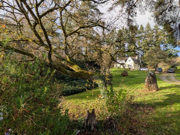 LANGOELAN MAISON NÉO BRETONNE DE 6 PIÈCES D' ENVIRON 135 M² VIE DE PLAIN PIED PARCELLE DE 1 HECTARE 3 ARES AVEC ÉTANG ET HANGAR.