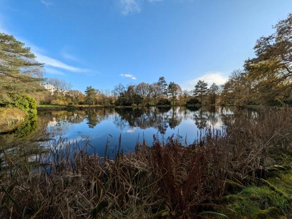 LANGOELAN MAISON NÉO BRETONNE DE 6 PIÈCES D' ENVIRON 135 M² VIE DE PLAIN PIED PARCELLE DE 1 HECTARE 3 ARES AVEC ÉTANG ET HANGAR.