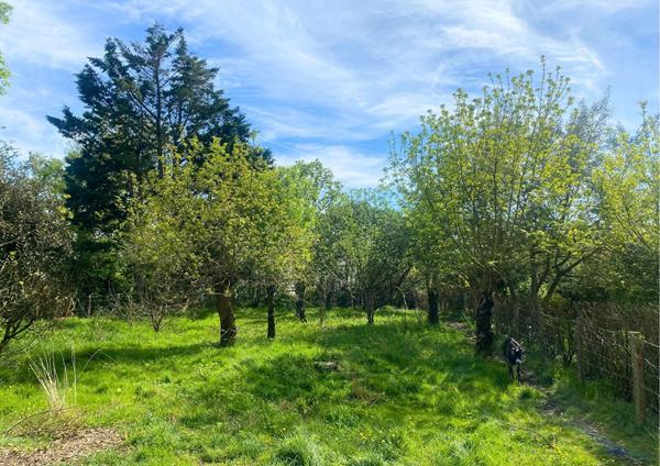 Terrain Saint Urbain 1073 m2