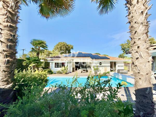 Charme au calme - Gujan-Mestras